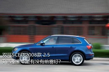 双环SCEO 2008款 2.5T 两驱豪华型有没有前雾灯？