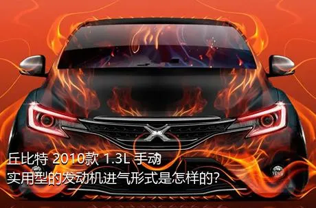 丘比特 2010款 1.3L 手动实用型的发动机进气形式是怎样的？