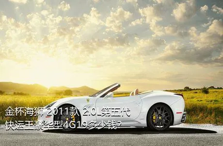 金杯海狮 2011款 2.0L第五代快运王豪华型4G19多少钱？
