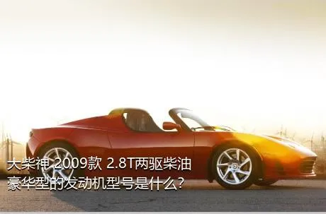 大柴神 2009款 2.8T两驱柴油豪华型的发动机型号是什么？