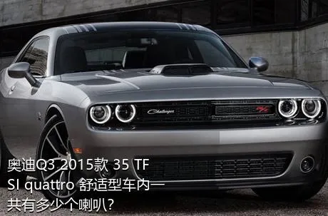奥迪Q3 2015款 35 TFSI quattro 舒适型车内一共有多少个喇叭？