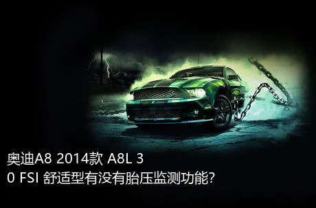 奥迪A8 2014款 A8L 30 FSI 舒适型有没有胎压监测功能？