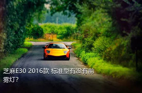 芝麻E30 2016款 标准型有没有前雾灯？