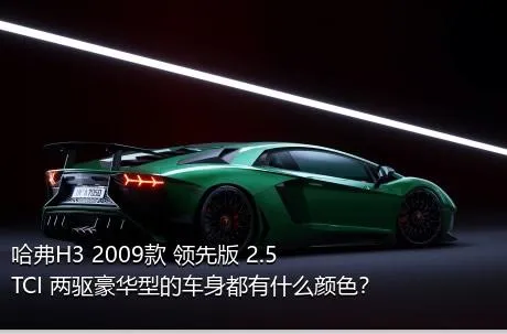 哈弗H3 2009款 领先版 2.5TCI 两驱豪华型的车身都有什么颜色？