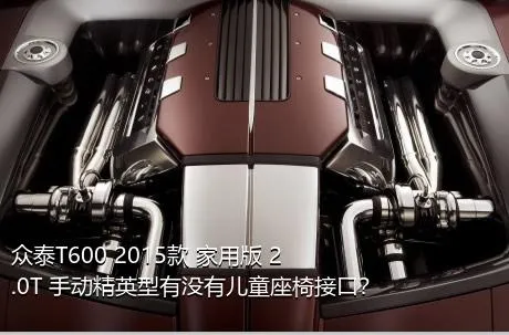 众泰T600 2015款 家用版 2.0T 手动精英型有没有儿童座椅接口？