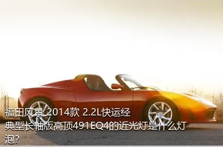 福田风景 2014款 2.2L快运经典型长轴版高顶491EQ4的近光灯是什么灯泡？