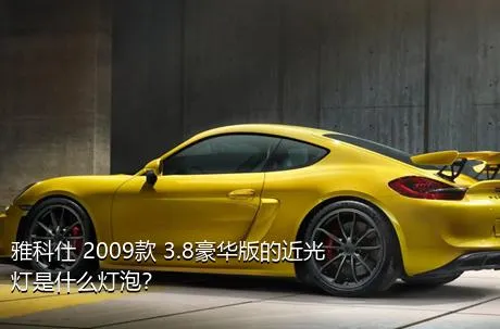 雅科仕 2009款 3.8豪华版的近光灯是什么灯泡？