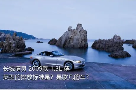 长城精灵 2009款 1.3L 精英型的排放标准是？是欧几的车？