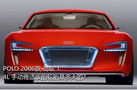 POLO 2006款 劲取 1.4L 手动雅适版的轮胎是多大的？
