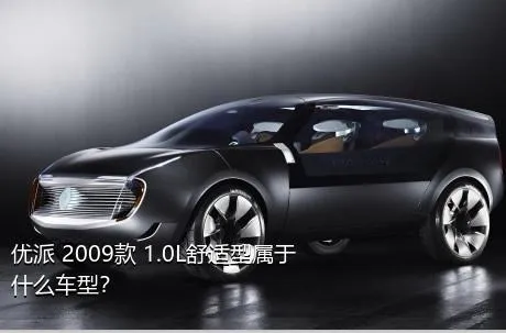 优派 2009款 1.0L舒适型属于什么车型？