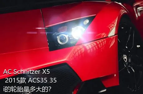 AC Schnitzer X5 2015款 ACS35 35i的轮胎是多大的？