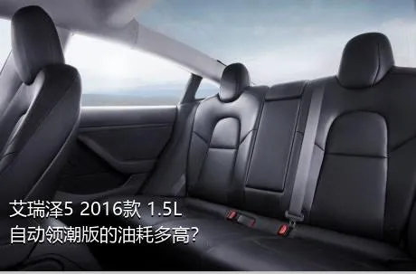 艾瑞泽5 2016款 1.5L 自动领潮版的油耗多高？