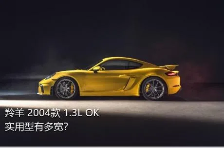 羚羊 2004款 1.3L OK实用型有多宽？