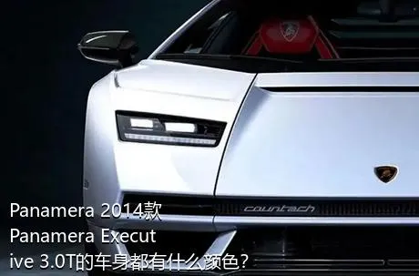Panamera 2014款 Panamera Executive 3.0T的车身都有什么颜色？