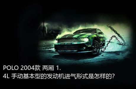 POLO 2004款 两厢 1.4L 手动基本型的发动机进气形式是怎样的？