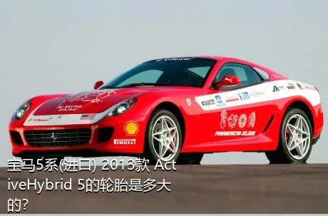 宝马5系(进口) 2013款 ActiveHybrid 5的轮胎是多大的？