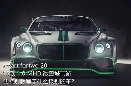smart fortwo 2013款 1.0 MHD 敞篷城市游侠特别版属于什么级别的车？