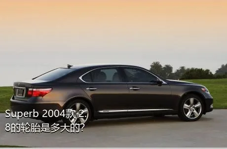 Superb 2004款 2.8的轮胎是多大的？