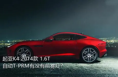 起亚K4 2014款 1.6T 自动T-PRM有没有前雾灯？