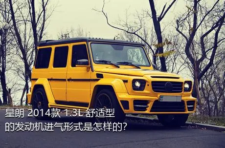 星朗 2014款 1.3L 舒适型的发动机进气形式是怎样的？