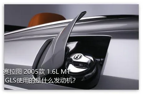 赛拉图 2005款 1.6L MT GLS使用的是什么发动机？