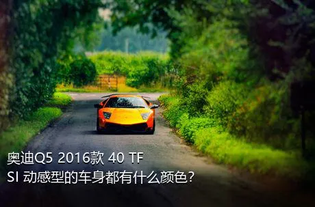 奥迪Q5 2016款 40 TFSI 动感型的车身都有什么颜色？