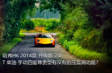 哈弗H6 2014款 升级版 2.0T 柴油 手动四驱尊贵型有没有胎压监测功能？