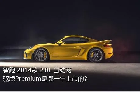 智跑 2014款 2.0L 自动两驱版Premium是哪一年上市的？