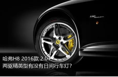 哈弗H8 2016款 2.0T 两驱精英型有没有日间行车灯？
