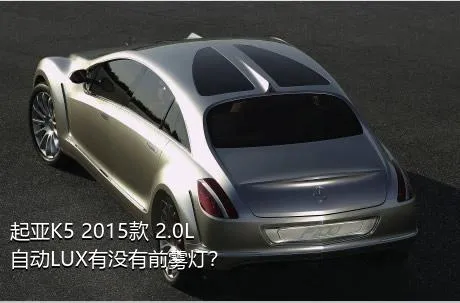 起亚K5 2015款 2.0L 自动LUX有没有前雾灯？