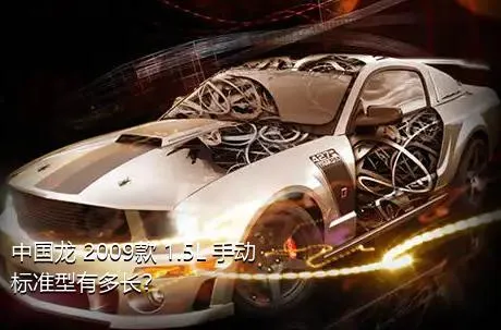 中国龙 2009款 1.5L 手动标准型有多长？