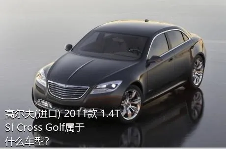 高尔夫(进口) 2011款 1.4TSI Cross Golf属于什么车型？