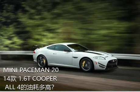 MINI PACEMAN 2014款 1.6T COOPER ALL 4的油耗多高？