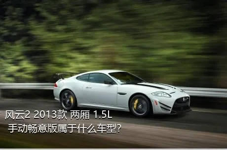 风云2 2013款 两厢 1.5L 手动畅意版属于什么车型？