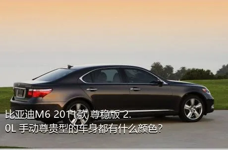 比亚迪M6 2011款 尊稳版 2.0L 手动尊贵型的车身都有什么颜色？