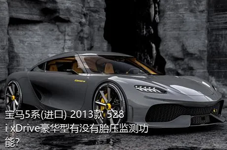 宝马5系(进口) 2013款 528i xDrive豪华型有没有胎压监测功能？