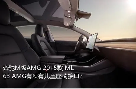 奔驰M级AMG 2015款 ML 63 AMG有没有儿童座椅接口？