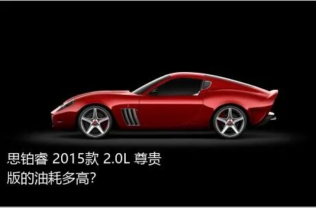 思铂睿 2015款 2.0L 尊贵版的油耗多高？
