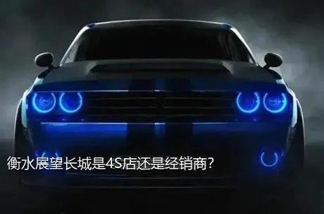 衡水展望长城是4S店还是经销商？