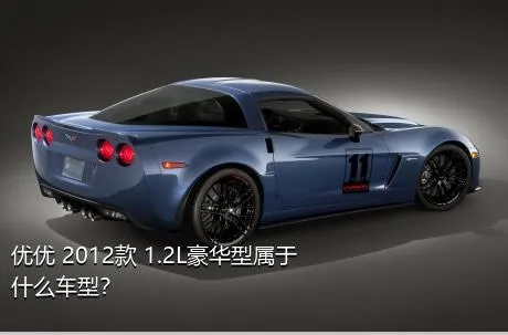 优优 2012款 1.2L豪华型属于什么车型？