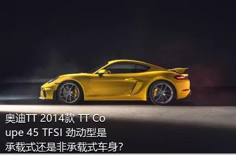 奥迪TT 2014款 TT Coupe 45 TFSI 劲动型是承载式还是非承载式车身？