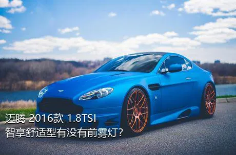 迈腾 2016款 1.8TSI 智享舒适型有没有前雾灯？