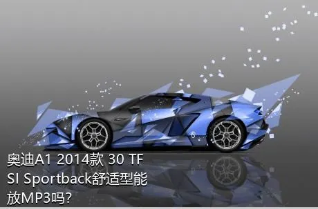 奥迪A1 2014款 30 TFSI Sportback舒适型能放MP3吗？
