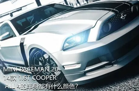 MINI PACEMAN 2014款 1.6T COOPER ALL 4的车身都有什么颜色？