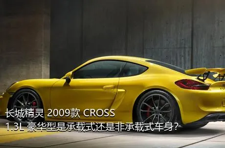 长城精灵 2009款 CROSS 1.3L 豪华型是承载式还是非承载式车身？