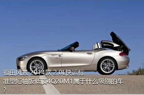 福田风景 2014款 2.0L快运标准型短轴版低顶4Q20M1属于什么级别的车？