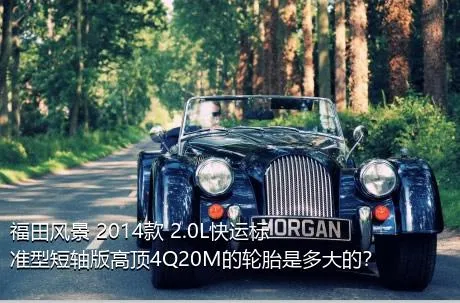 福田风景 2014款 2.0L快运标准型短轴版高顶4Q20M的轮胎是多大的？