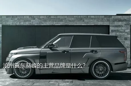 沧州冀东赫峰的主营品牌是什么？