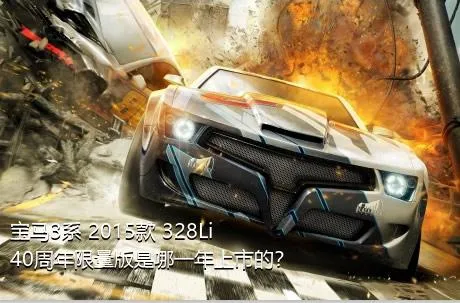 宝马3系 2015款 328Li 40周年限量版是哪一年上市的？