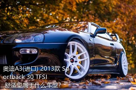 奥迪A3(进口) 2013款 Sportback 30 TFSI 舒适型属于什么车型？
